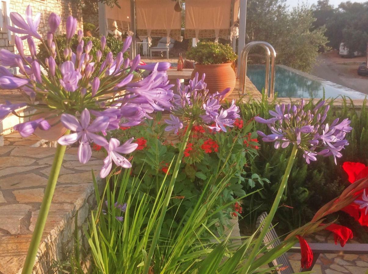 Opera House Paxos Hotel Gaios Ngoại thất bức ảnh